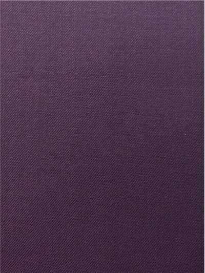 GZ-SGDE 西裝布025 正面照